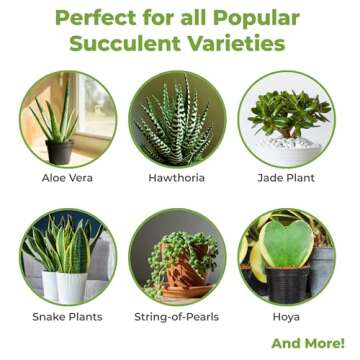 5oz Succulent and Cactus Fertilizer | Gentle Long Lasting Plant Food