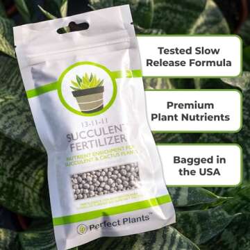 Succulent & Cactus Fertilizer | Long Lasting Plant Care