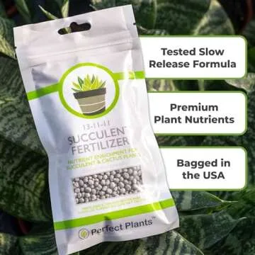 Succulent & Cactus Fertilizer | Long Lasting Plant Care