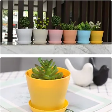 Colorful JERIA 16-Pack 4" Plastic Plant Pots