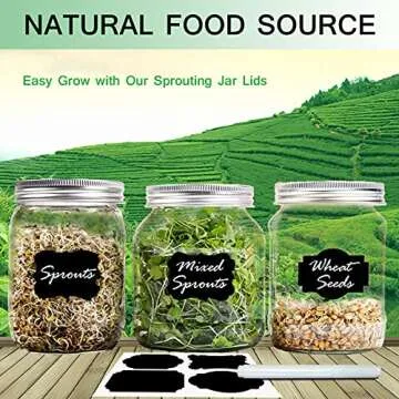 4 Set Seed Sprouting Jar Lids, Regular Mouth Mason Jar Screen Sprouting Kit Lids, 304 Stainless Steel Strainer Screen for Canning Jars with Sprouting Stands for Grow Organic Sprouts