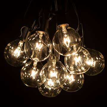Hometown Evolution, Inc. 50 Foot Outdoor String Lights - Black Wire - 50 G50 Clear 2 Inch Globe Bulb...