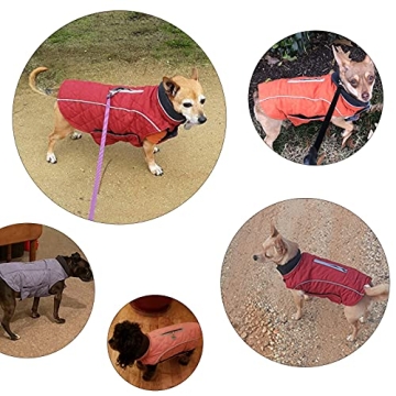 Pethiy Waterproof Dog Apparel Cold Weather Vest for Small Dogs