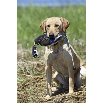 Banded Avery EZ-Bird Wood Duck Training Dummy for Dogs