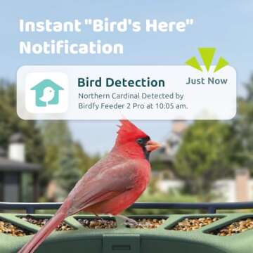 Birdfy 2 Smart Bird Feeder with Camera, Dual-Lens, Solar-Powered, Wireless Birdwatching, Permanent AI Identify 6000+ Bird Species & Motion Detection, Gift Present