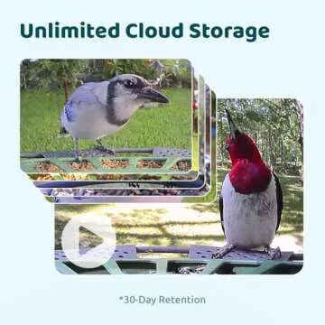 Birdfy 2 Smart Bird Feeder with Camera, Dual-Lens, Solar-Powered, Wireless Birdwatching, Permanent AI Identify 6000+ Bird Species & Motion Detection, Gift Present