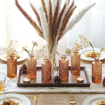 ComSaf 6-Piece Glass Bud Vases Set for Home Decor