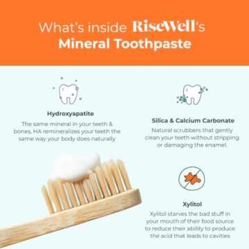 RiseWell Mineral Toothpaste - All Natural Toothpaste with Hydroxyapatite - Made in The USA, No Added Fluoride, SLS-Free - for a Stronger and Healthier Teeth, Wild Mint 4 Oz