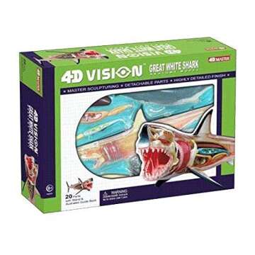 4D Vision Great White Shark Anatomy Model