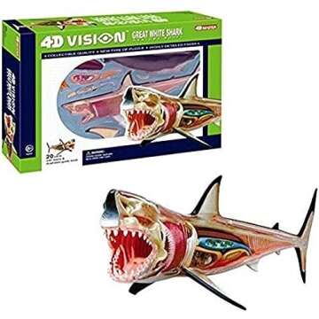 4D Vision Great White Shark Anatomy Model