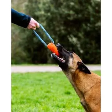 Chuckit Ultra Bumper Tug Dog Toy - Durable & Fun