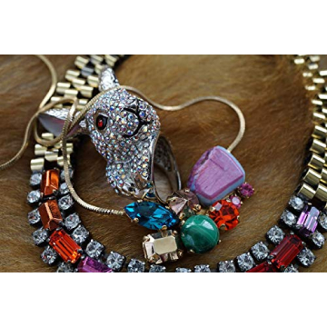 Sony E 50mm F1.8 OSS Portrait Lens for Stunning Shots