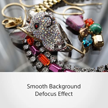 Sony E 50mm F1.8 OSS Portrait Lens for Stunning Shots