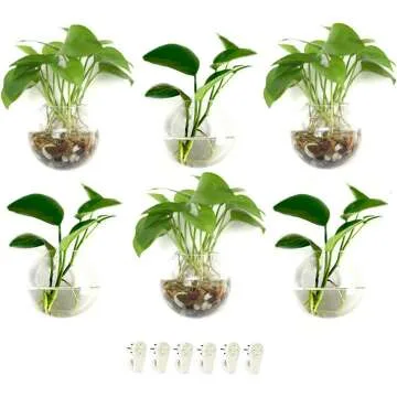 Glass Wall Planters for Air Plants & Succulents