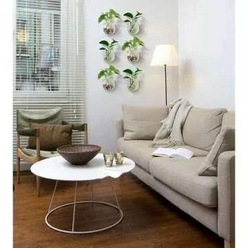 Glass Wall Planters for Air Plants & Succulents