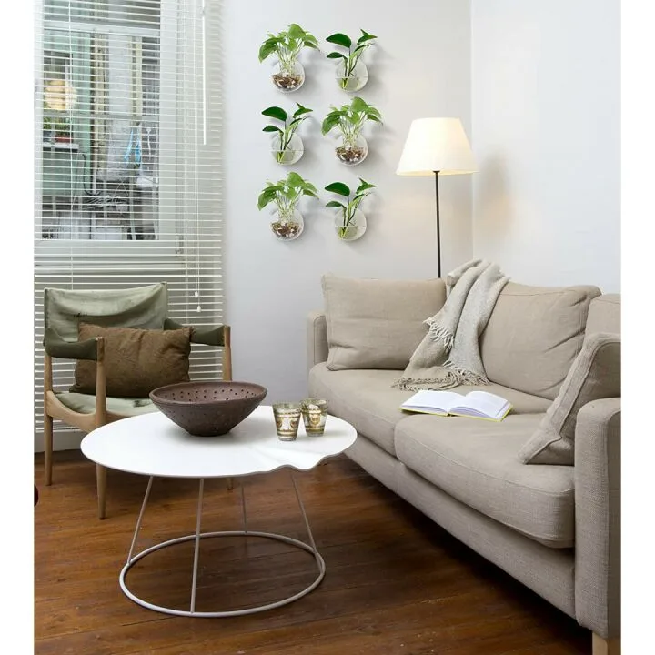 Glass Wall Planters for Air Plants & Succulents