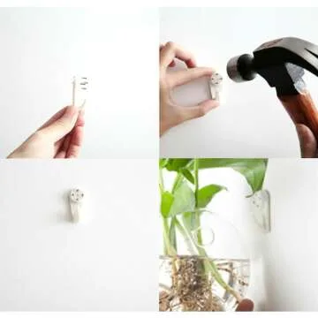 Glass Wall Planters for Air Plants & Succulents