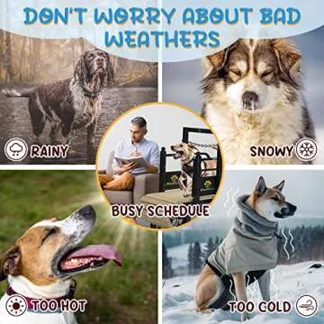 PawPaw's Dog Treadmill for Large Dogs, Medium Dogs. Dog Slatmill for Healthy & Fit Dog Life, Dog Treadmill for Indoor & Outdoor (Large)