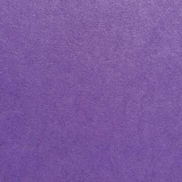 Cardstock Warehouse Pop-Tone Grape Jelly Purple Cardstock Paper – 25 Sheets, 12 x 12" - 100 lb / 2...