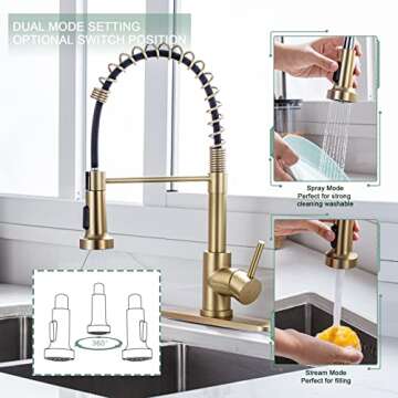 WEWE Brushed Gold Kitchen Faucet with Pull Down Sprayer, RV Brass Kitchen Faucet Stainless Steel Single Handle Spring Faucet with Deck Plate for Farmhouse Utility bar Laundry Sinks