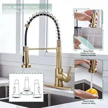 WEWE Brushed Gold Kitchen Faucet with Pull Down Sprayer, RV Brass Kitchen Faucet Stainless Steel Single Handle Spring Faucet with Deck Plate for Farmhouse Utility bar Laundry Sinks