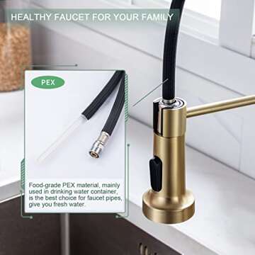 WEWE Brushed Gold Kitchen Faucet with Pull Down Sprayer, RV Brass Kitchen Faucet Stainless Steel Single Handle Spring Faucet with Deck Plate for Farmhouse Utility bar Laundry Sinks