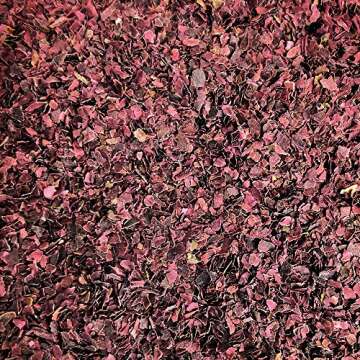 CENALGA Organic Gulf of Maine Dulse Flakes - We avoid Plastic 1.5 oz / 42.5 g Bag - Atlantic Seaweed - Vegan Certified - Perfect for Paleo Diet or Keto Diet - non-GMO - Fat-Free - Gluten-Free - Pareve