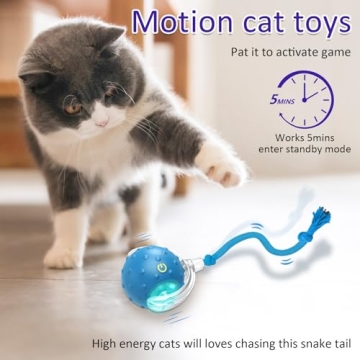 Interactive Cat Toys Ball for Indoor Cats