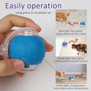 Interactive Cat Toys Ball for Indoor Cats