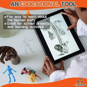 UpBrands Stretchy Skeletons 48 Pack Kids Party Favors