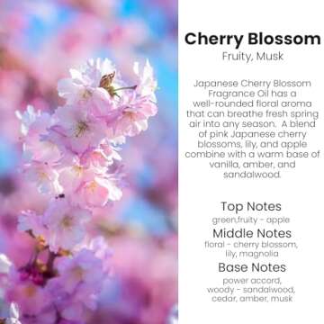 Hanging Car Air Freshener - Essential Oil Diffuser, Long Lasting, Cute, For Women, Made in USA