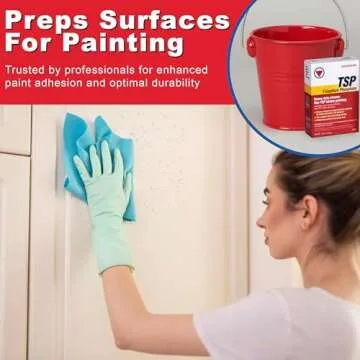 Savogran TSP 1LB Cleaner for Tough Stains & Mold