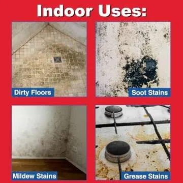 Savogran TSP 1LB Cleaner for Tough Stains & Mold