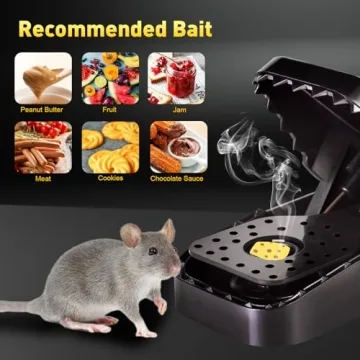 Effective 6-Pack Mouse Traps for Home Use