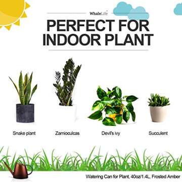 WhaleLife Indoor Watering Can for House Bonsai Plants (1.4L, Frosted Amber)