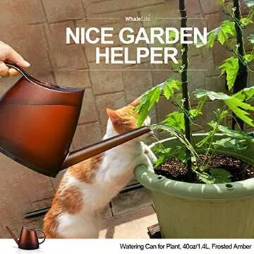 WhaleLife Indoor Watering Can for House Bonsai Plants (1.4L, Frosted Amber)
