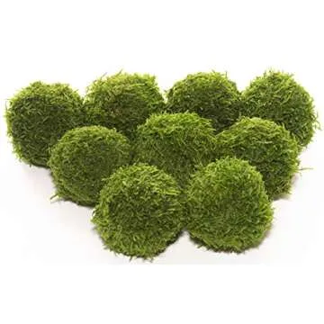 MossArt Deco Preserved Decorative Moss Ball for Green Wall Design