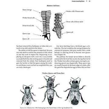 The Beekeeper's Handbook for Enthusiastic Apiculture Success