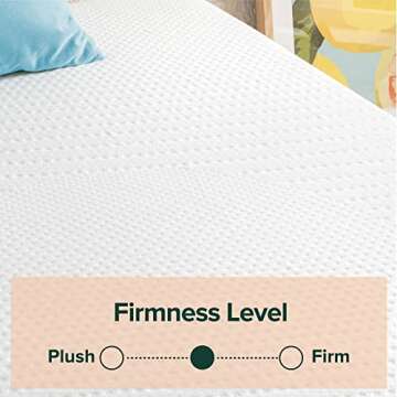 ZINUS 8 Inch Green Tea Essential Memory Foam Mattress, Twin, Mattress in A Box, Affordable Mattress, CertiPUR-US Certified