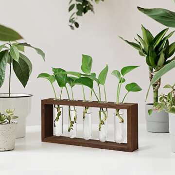 THYGIFTREE Propagation Tubes with Wooden Stand Wall Hanging Plant Propagation Station for Hydroponic Cuttings, Desktop Glass Planter Terrarium Vase Home Decor Gifts