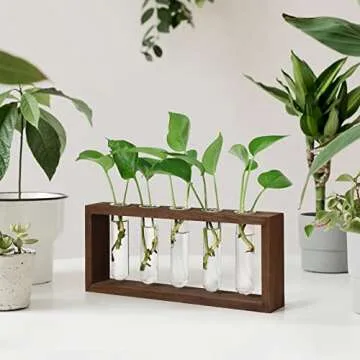 THYGIFTREE Propagation Tubes with Wooden Stand Wall Hanging Plant Propagation Station for Hydroponic Cuttings, Desktop Glass Planter Terrarium Vase Home Decor Gifts