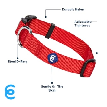 Buy Blueberry Pet X-Small Rouge Red Dog Collar Online