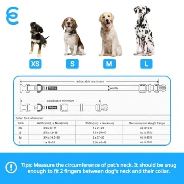 Buy Blueberry Pet X-Small Rouge Red Dog Collar Online