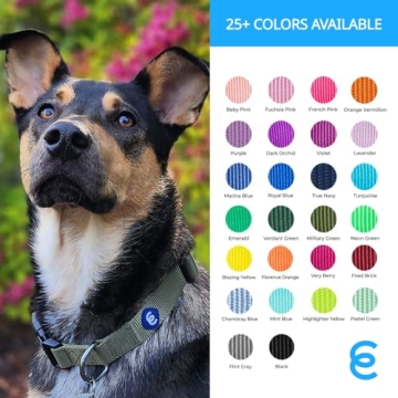 Buy Blueberry Pet X-Small Rouge Red Dog Collar Online