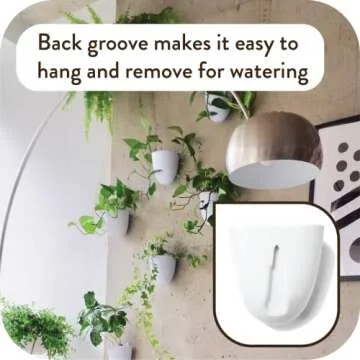 PlantPod Luxe - Self-Watering Wall Planters (Set of 6) - Easy to Water and Install - Lightweight - Design Your Own Vertical Garden - Wall Planters for Indoor Plants
