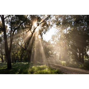 TAMRON 35mm f/2.8 Di III OSD for Sony E-Mount