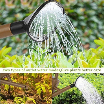 Modern 1 Gallon Watering Can with Detachable Nozzle for Plants