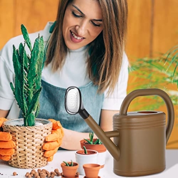 Modern 1 Gallon Watering Can with Detachable Nozzle for Plants