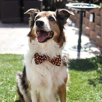 Huxley & Kent Bow Tie for Pets | Candy Corn (Extra-Large) | Halloween Bow Tie Collar Attachment | Fun Bow Ties for Dogs & Cats | Cute, Comfortable, and Durable | H&K Bow Tie