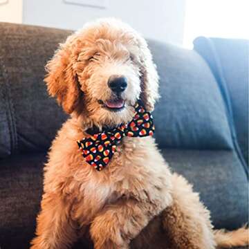 Huxley & Kent Bow Tie for Pets | Candy Corn (Extra-Large) | Halloween Bow Tie Collar Attachment | Fun Bow Ties for Dogs & Cats | Cute, Comfortable, and Durable | H&K Bow Tie